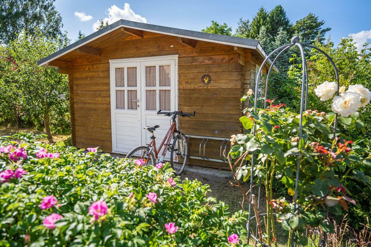 An Den Deichwiesen Apartment